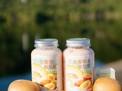 阳光金奇酸奶昔-野萃山·潮汕厚果汁(十亩地店)
