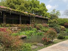 -中国茶叶博物馆(双峰馆区)