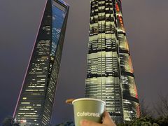 -陆家嘴中心绿地