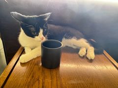 -原田新料理(1912店)