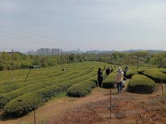 -敬亭山风景名胜区
