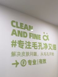 -凡碧诗毛孔清洁收细