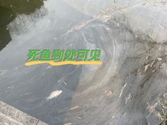 -日出青木·杭帮菜名店