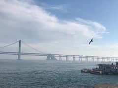 -星海湾跨海大桥