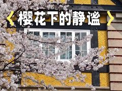 -上海瑞金洲际酒店