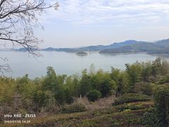 -天目湖涵田半山温泉