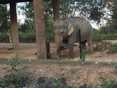 -清迈夜间动物园