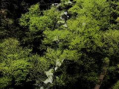 -溪口-滕头旅游景区