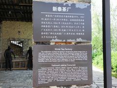 -羊楼洞