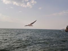 -大理洱海