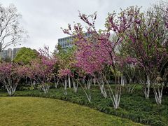 -杭州城北体育公园