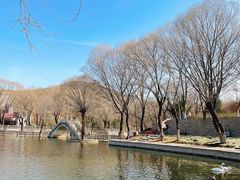 -石家庄市动物园