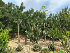-东莞植物园