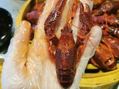 -靓靓蒸虾·头牌蒸虾(雪松路总店)