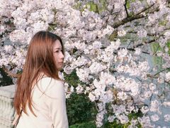 -西湖外事游船(花港观鱼码头)