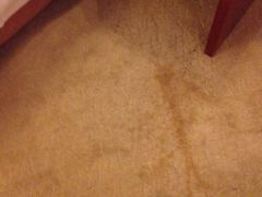 -美豪怡致酒店(上海长寿路店)