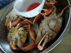-辉记虾塘海鲜农庄