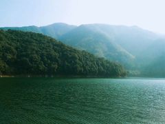 景点-四明山国家森林公园