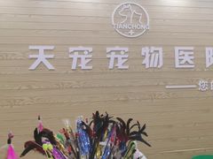 -天宠宠物医院24小时·急重症诊疗中心·全科·腔镜特色(和平分院)