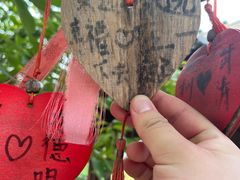 -祥源·阜阳生态乐园