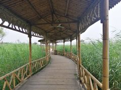 -处女泉风景名胜区