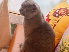 -Rabbit Cafe私房西餐甜点咖啡(栖霞路店)