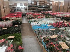 -龙大花卉苗木市场