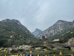 -禅宗少林·音乐大典