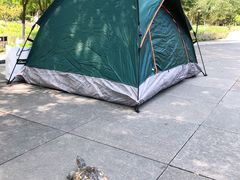 -永定河休闲森林公园