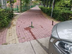 -杨柳青庄园