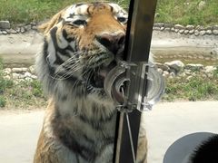 -西安秦岭野生动物园