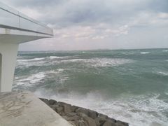 -白兔子密室(长寿路店)