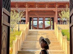 -江心屿景区