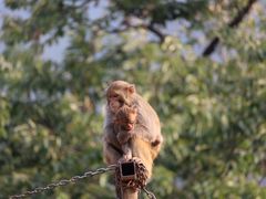 -西安秦岭野生动物园