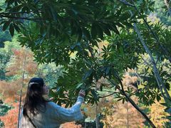 -云溪植物园