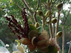 -滴水坊(星云文教馆店)