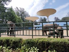 -秦皇岛野生动物园