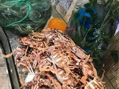 -瑞德姆美人鱼海底演艺主题餐厅(亚龙湾店)