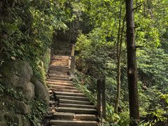 -青城山