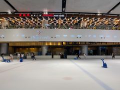-TheRink大零溜冰场(IFS国金中心店)