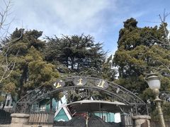 -八大关景区
