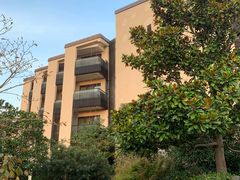 -上海崇明金茂凯悦酒店