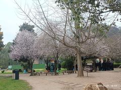 -花溪公园