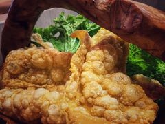 酥脆炸豆皮-热火朝天鲜切牛肉火锅(南强街巷店)