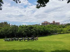 -广州雕塑公园