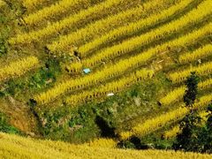 -龙脊梯田风景名胜区游客中心-停车场