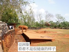 -海南热带野生动植物园