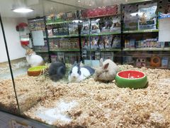 -万达广场(大明宫店)