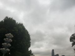 -重庆市江北嘴中央商务区中央公园