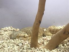 -昆明大悦城未来动物城(螺蛳湾中心店)